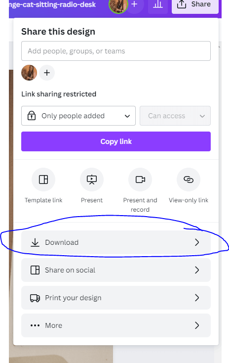 download canva cat picture