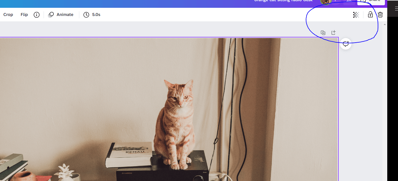 transparency icon on canva